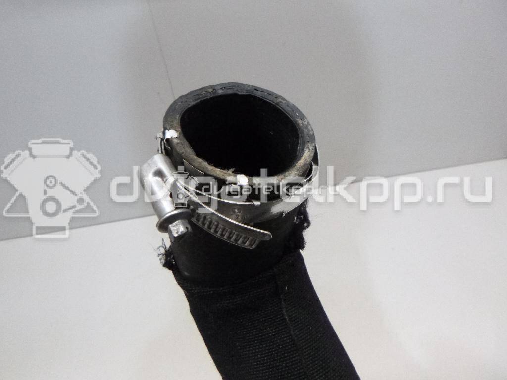 Фото Патрубок интеркулера для двигателя CDNC для Audi A3 / A5 211 л.с 16V 2.0 л бензин 8R0145738R {forloop.counter}}