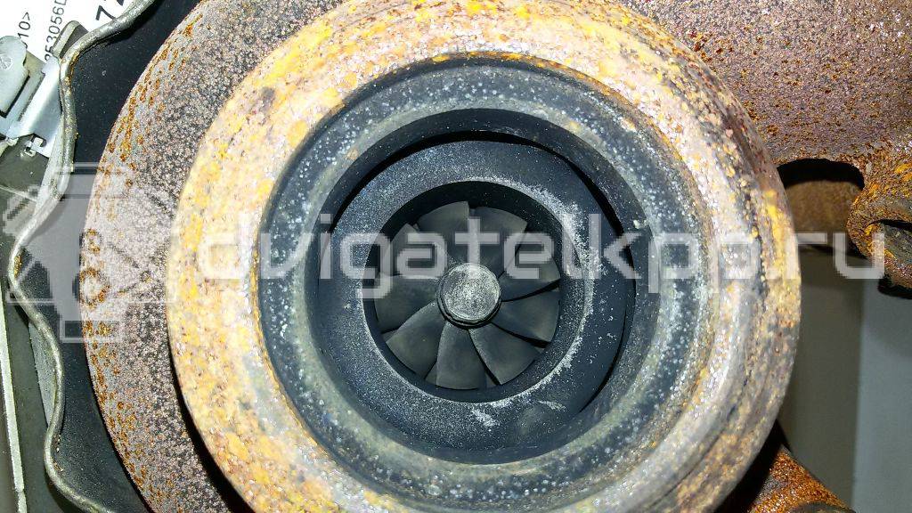 Фото Турбокомпрессор (турбина) для двигателя CAYC для Volkswagen Touran / Golf / Passat / Beetle / Jetta 105 л.с 16V 1.6 л Дизельное топливо 03L253056D {forloop.counter}}