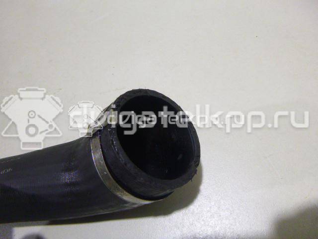 Фото Патрубок интеркулера для двигателя D 4204 T для Volvo V40 / S40 136 л.с 16V 2.0 л Дизельное топливо 30758467 {forloop.counter}}