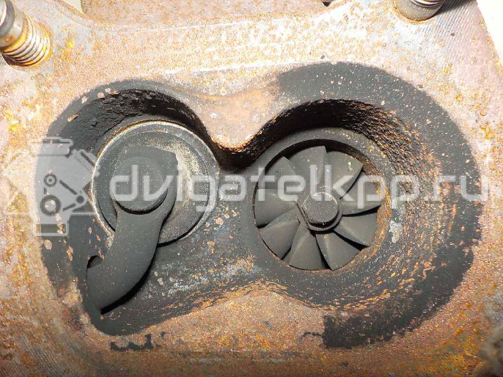 Фото Турбокомпрессор (турбина) для двигателя K9K 800 для Renault Kangoo 1 75-86 л.с 8V 1.5 л Дизельное топливо 144113163R {forloop.counter}}
