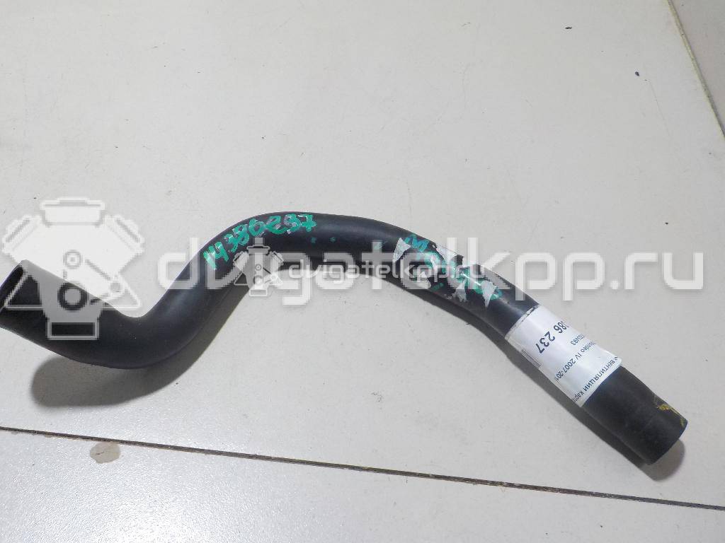 Фото Шланг вентиляции картер. газов  1303493 для Ford Focus {forloop.counter}}