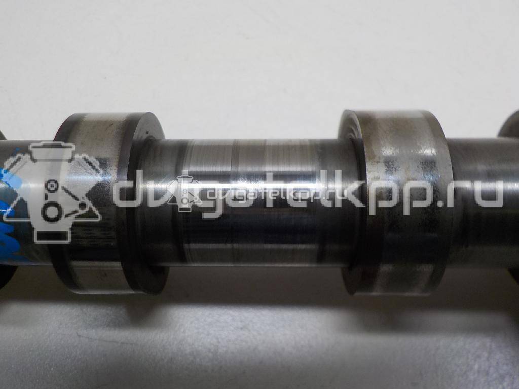 Фото Распредвал выпускной  1313805 для Ford Fiesta / Focus / C-Max / Fusion Ju {forloop.counter}}