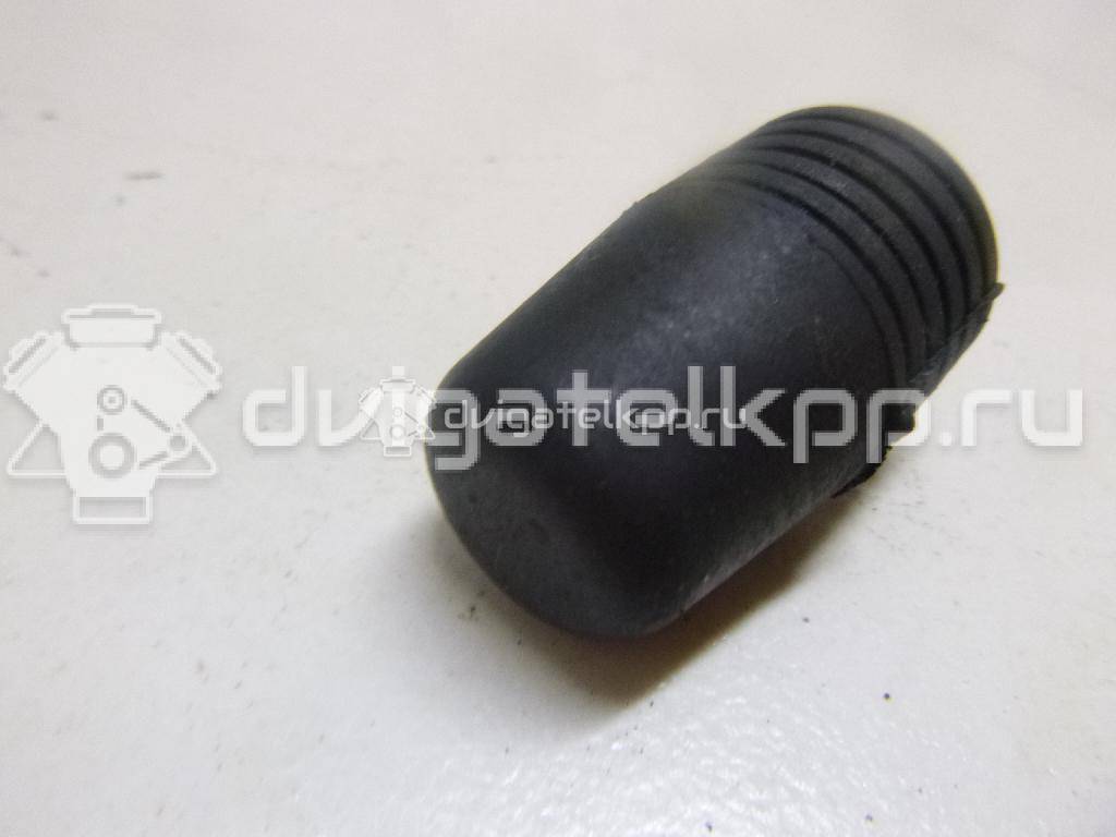 Фото Отбойник капота  1069504 для Ford Focus / S-Max / Transit / C-Max {forloop.counter}}