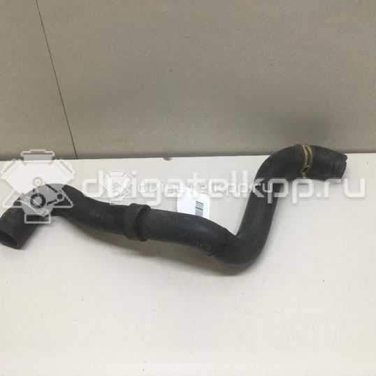 Фото Патрубок радиатора  3M5H8260BK для Ford Focus / C-Max