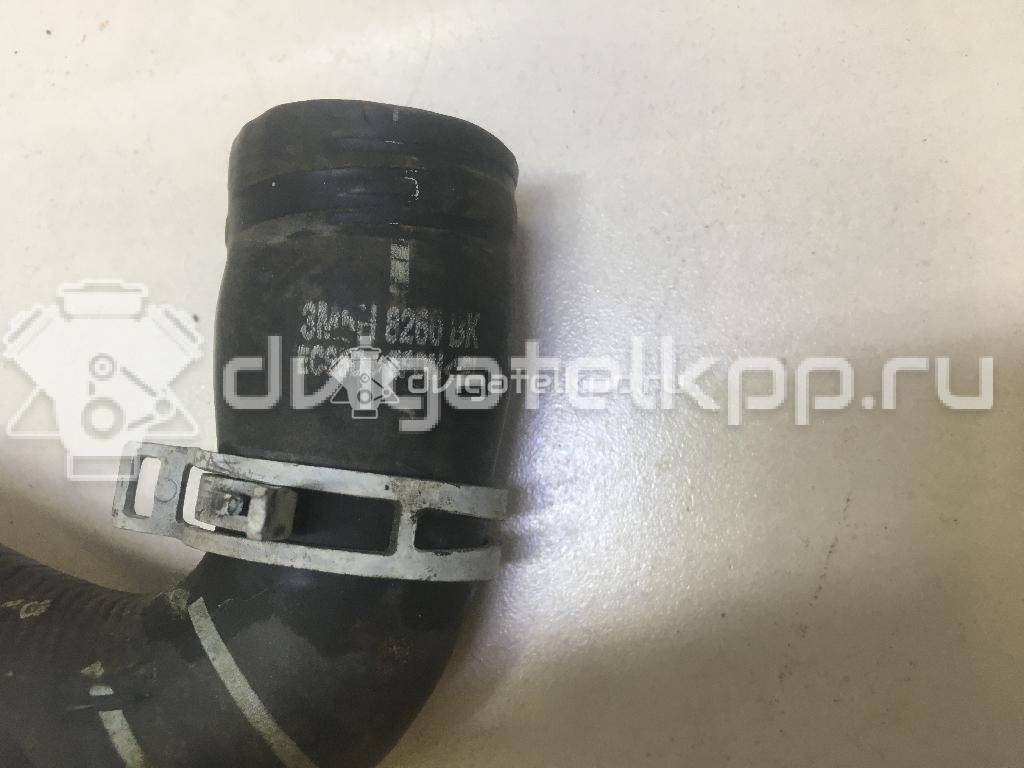 Фото Патрубок радиатора  3M5H8260BK для Ford Focus / C-Max {forloop.counter}}