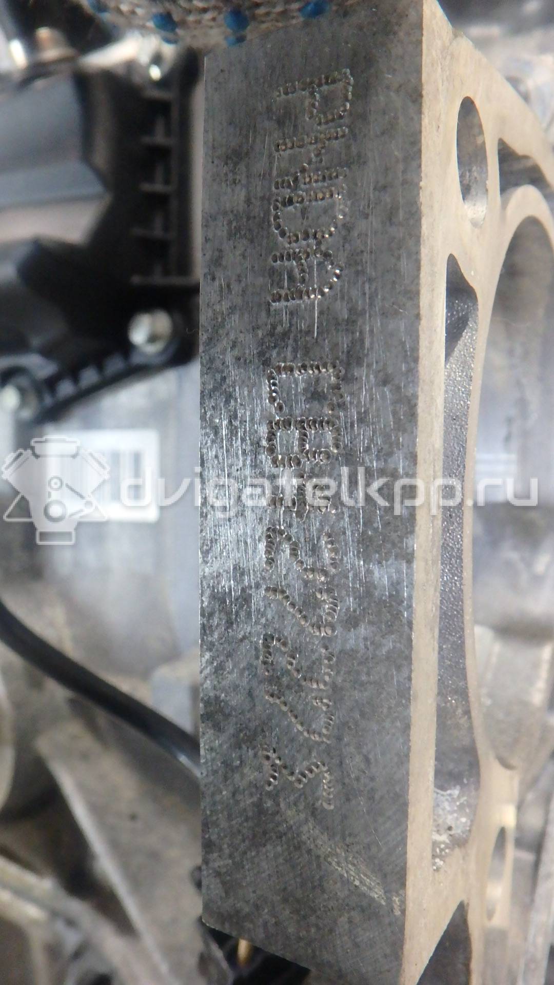 Фото Контрактный (б/у) двигатель CT для Volkswagen / Ford (Changan) 110 л.с 16V 1.5 л бензин 1752082 {forloop.counter}}