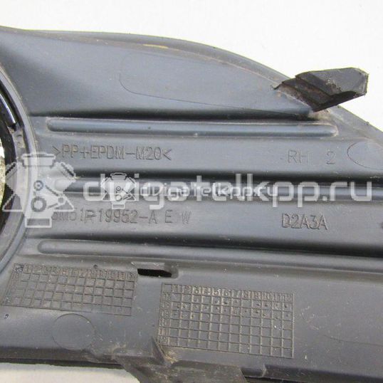 Фото Решетка в бампер правая  1528560 для Ford Focus