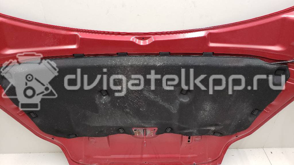 Фото Капот  1797477 для Ford Focus {forloop.counter}}