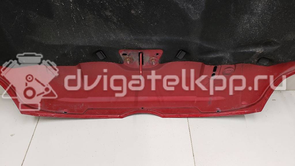 Фото Капот  1797477 для Ford Focus {forloop.counter}}
