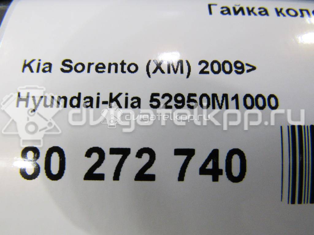 Фото Кулак поворотный передний правый  52950M1000 для Hyundai Accent / I30 / Sonata / Elantra / Pony {forloop.counter}}