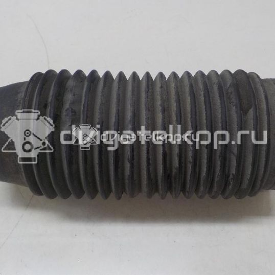 Фото Пыльник переднего амортизатора  546251c000 для Hyundai I20 / Getz Tb