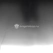 Фото Капот  KA4610150-1000 для kia RIO {forloop.counter}}