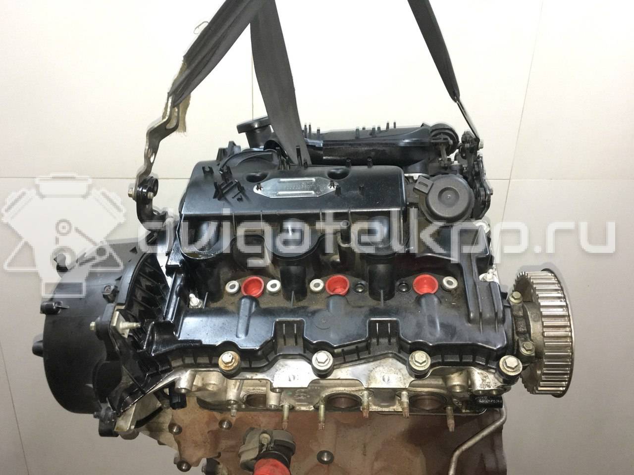 Фото Контрактный (б/у) двигатель 276DT для Ford Australia / Land Rover 190 л.с 24V 2.7 л Дизельное топливо LR004729 {forloop.counter}}