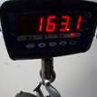 Фото Контрактный (б/у) двигатель 306DT для Land Rover Range Rover / Discovery 211-340 л.с 24V 3.0 л Дизельное топливо LR036824 {forloop.counter}}