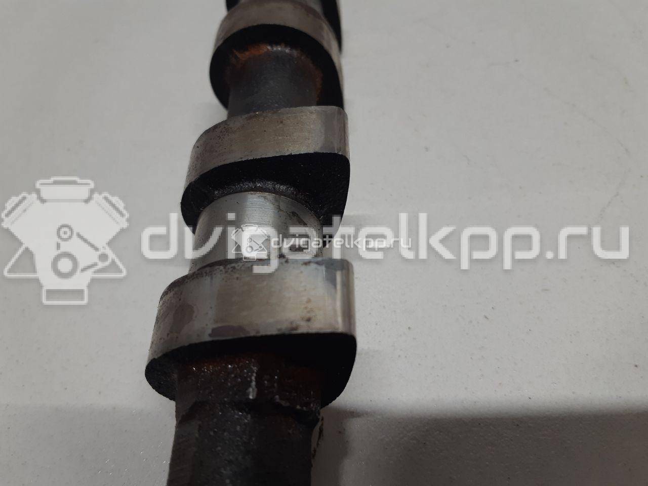 Фото Распредвал для двигателя F16D3 для Daewoo / Chevrolet / Holden 105-109 л.с 16V 1.6 л бензин 96182606 {forloop.counter}}