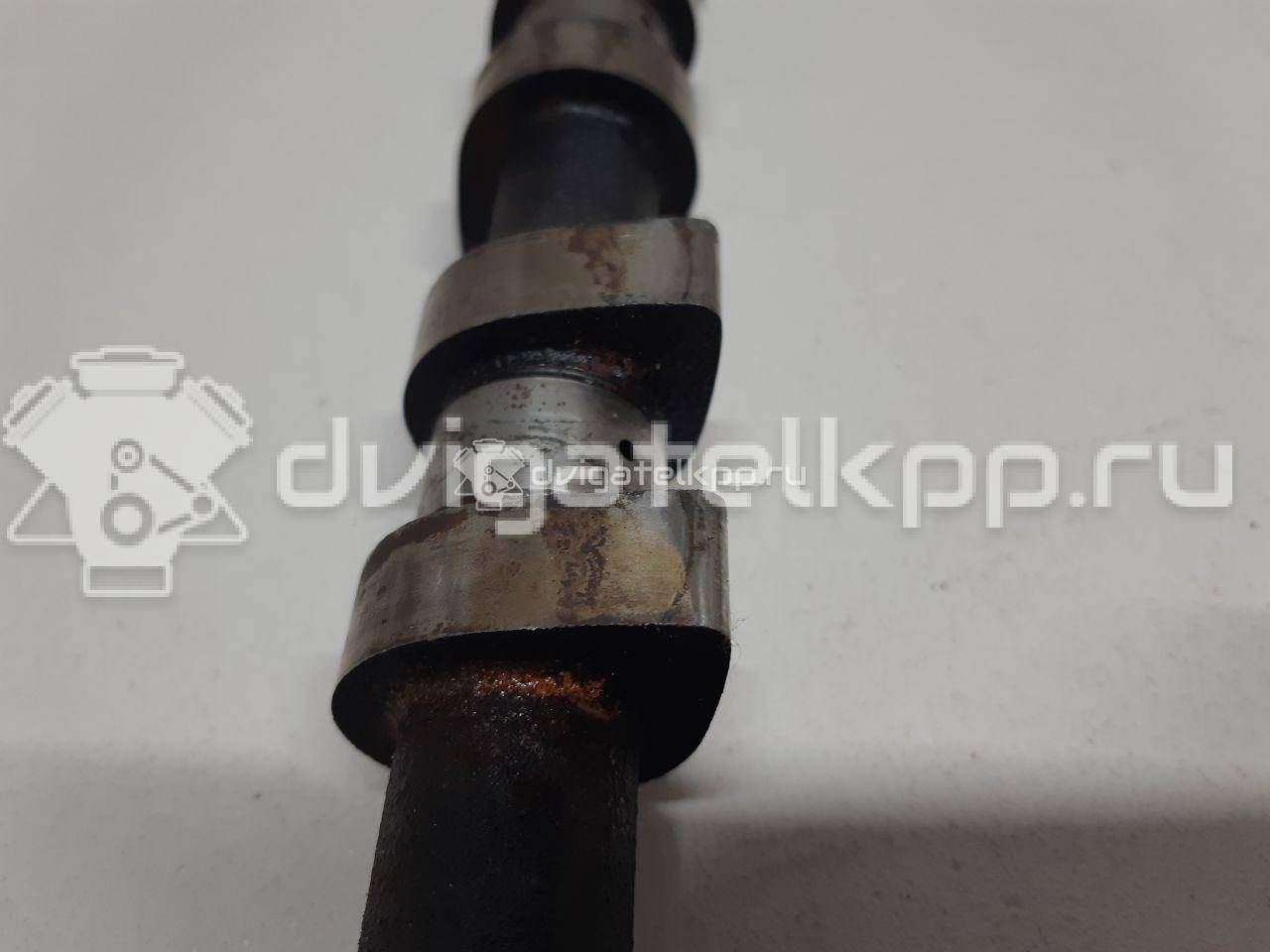 Фото Распредвал для двигателя F16D3 для Daewoo / Chevrolet / Holden 105-109 л.с 16V 1.6 л бензин 96182606 {forloop.counter}}