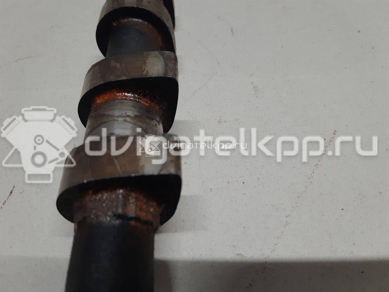 Фото Распредвал для двигателя F16D3 для Daewoo / Buick (Sgm) / Chevrolet / Holden 106-110 л.с 16V 1.6 л бензин 96182606 {forloop.counter}}