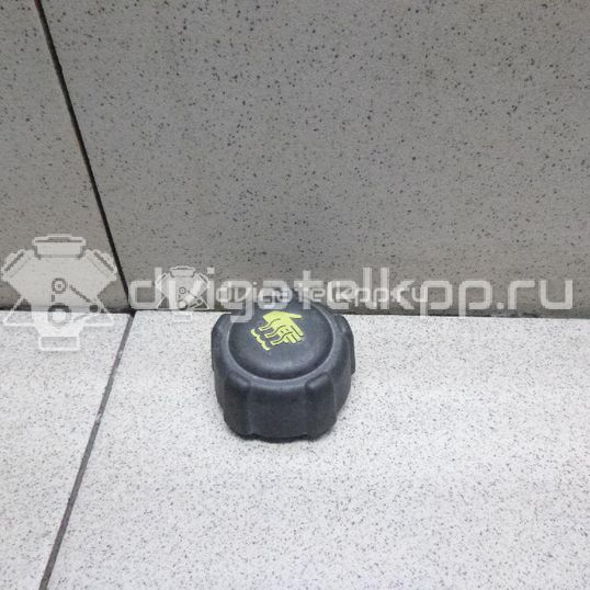Фото Крышка расширительного бачка  8200048024 для Nissan Primastar X83 / Micra / Note / Nv200 / Kubistar