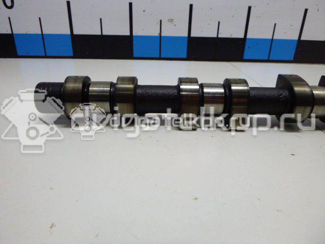 Фото Распредвал для двигателя F16D3 для Daewoo / Chevrolet / Holden 105 л.с 16V 1.6 л бензин 96182606 {forloop.counter}}