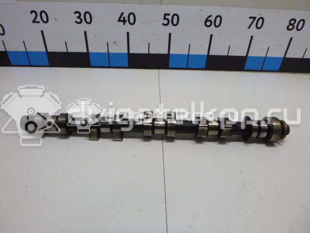 Фото Распредвал для двигателя F16D3 для Daewoo / Chevrolet / Holden 105 л.с 16V 1.6 л бензин 96182606 {forloop.counter}}