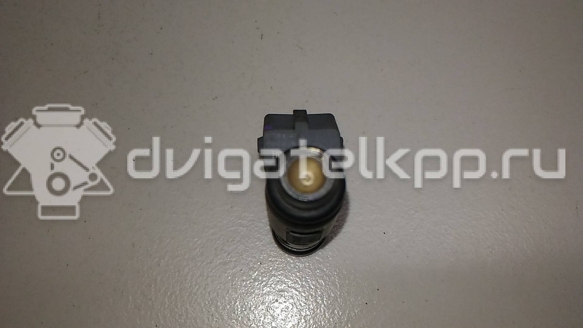 Фото Форсунка инжекторная электрическая  8200058379 для Renault Vel Satis Bj0 / Megane / Laguna / Scénic / Espace {forloop.counter}}