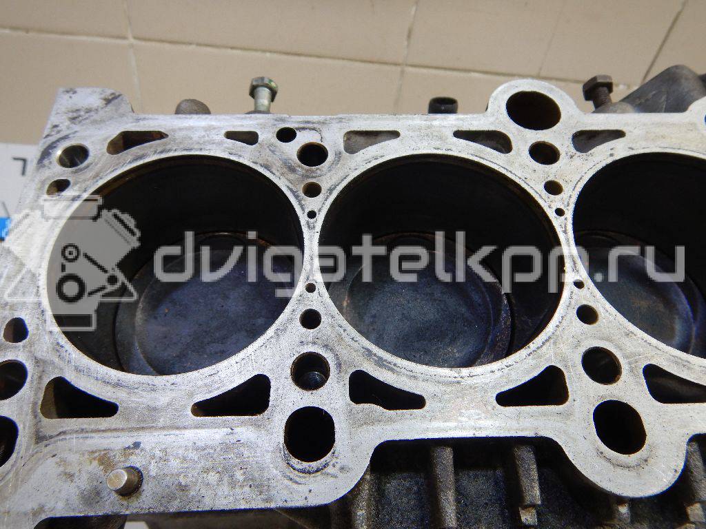 Фото Блок двигателя  06B100103LX для Audi A4 / A6 {forloop.counter}}