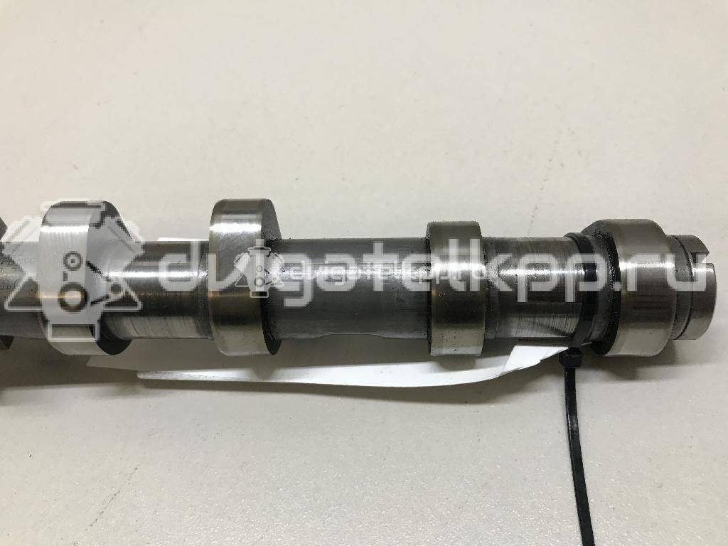 Фото Распредвал впускной  06H109021K для seat Alhambra {forloop.counter}}