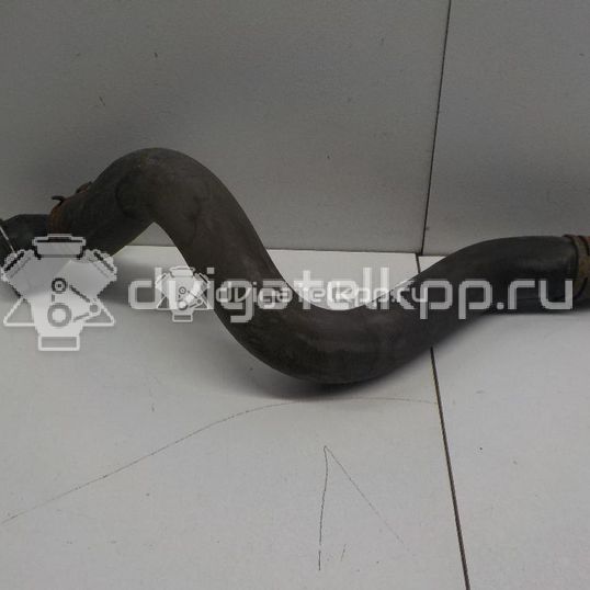 Фото Патрубок радиатора  1k0121049cb для audi A3 [8P1]