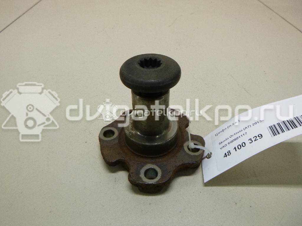 Фото Цапфа (п.з.к.)  5Q0501117 для Seat Leon {forloop.counter}}