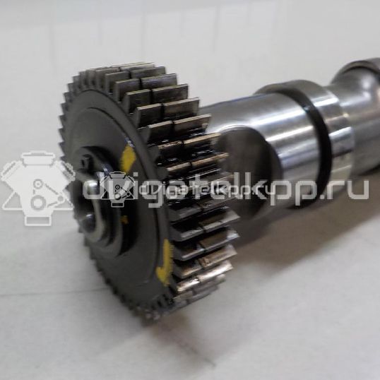 Фото Распредвал выпускной  059109009BJ для Skoda Superb