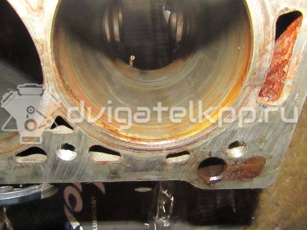Фото Блок двигателя  110108138R для Renault / Dacia {forloop.counter}}