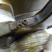 Фото Коленвал для двигателя TU5JP4 для Nissan (Zhengzhou) / Peugeot (Df-Psa) 106 л.с 16V 1.6 л бензин 0501H9 {forloop.counter}}