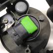 Фото Фара противотуманная левая  33950TL0G01 для Honda Accord {forloop.counter}}