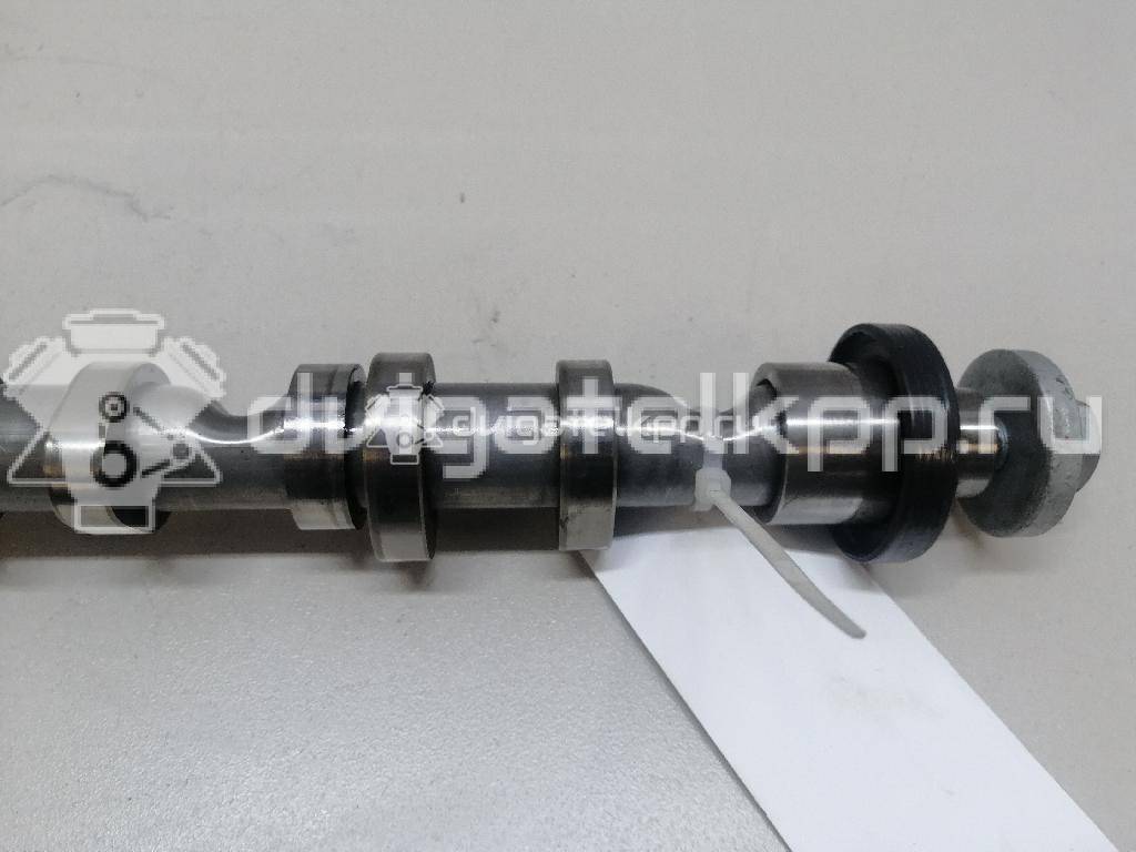 Фото Распредвал выпускной  03L109022D для Volkswagen Scirocco / Tiguan / Touran / Amarok S1B / Cc {forloop.counter}}