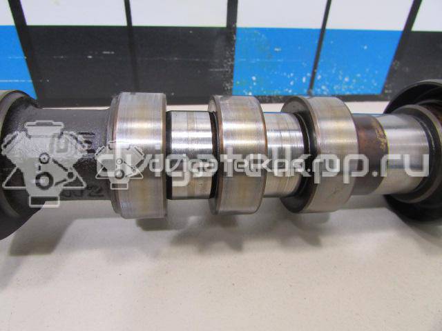 Фото Распредвал впускной  078109021Q для Audi Allroad / A4 / A6 {forloop.counter}}