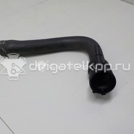 Фото Патрубок радиатора  8E0121101R для Audi A4