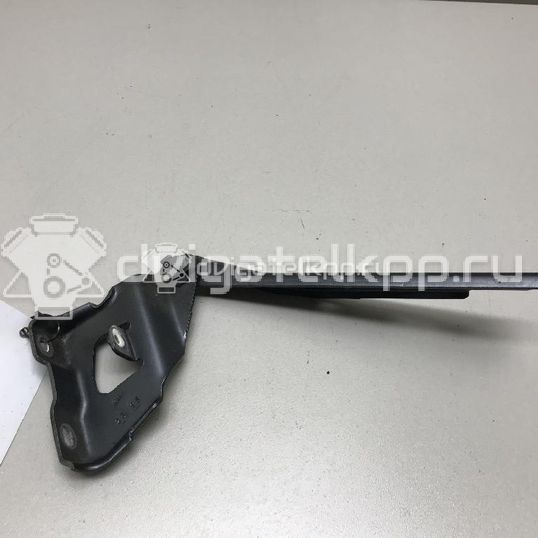 Фото Петля капота правая  8k0823302d для Audi A4