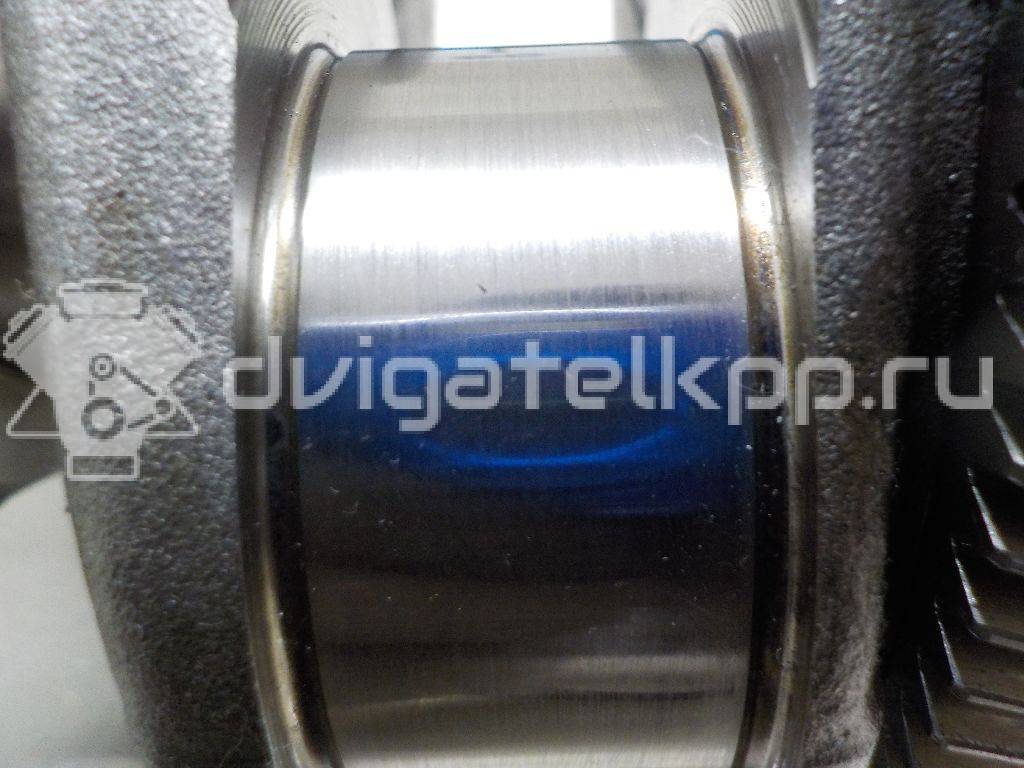 Фото Коленвал  для Audi A5 / Q5 {forloop.counter}}