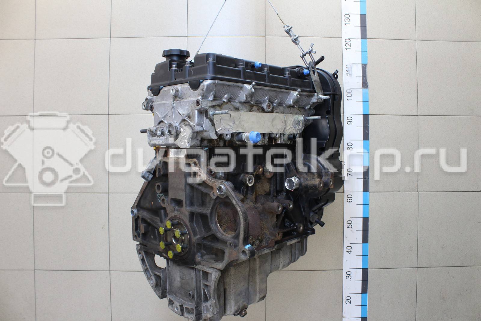 Фото Контрактный (б/у) двигатель F16D3 для Daewoo / Chevrolet / Holden 106 л.с 16V 1.6 л бензин 96475805 {forloop.counter}}
