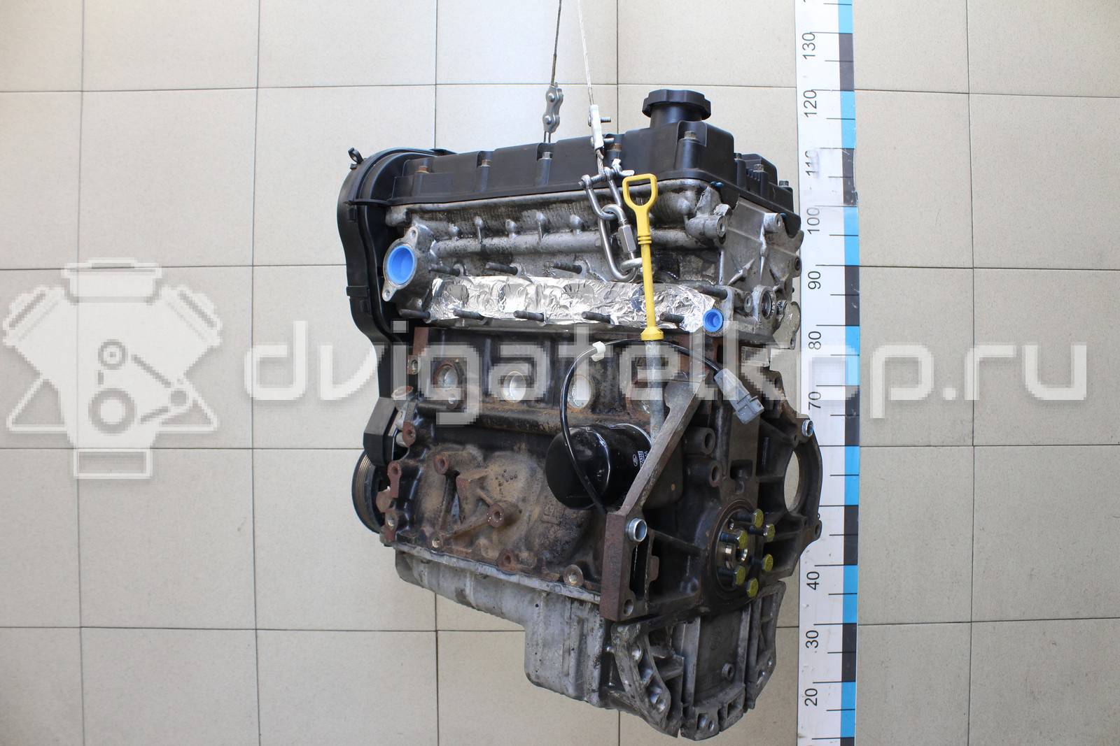 Фото Контрактный (б/у) двигатель F16D3 для Daewoo / Chevrolet / Holden 105 л.с 16V 1.6 л бензин 96475805 {forloop.counter}}