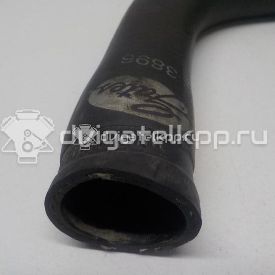 Фото Патрубок радиатора  1351EW для citroen C2