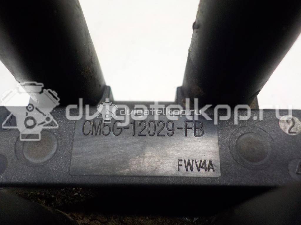 Фото Катушка зажигания  CM5G12029FB для Ford Fiesta / Focus / Tourneo / C-Max / Ka {forloop.counter}}