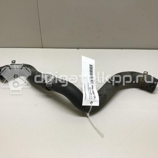 Фото Патрубок радиатора  3M5H8260BK для Ford Focus / C-Max