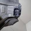 Фото Контрактная (б/у) АКПП для ford EcoSport  V    2071609 {forloop.counter}}