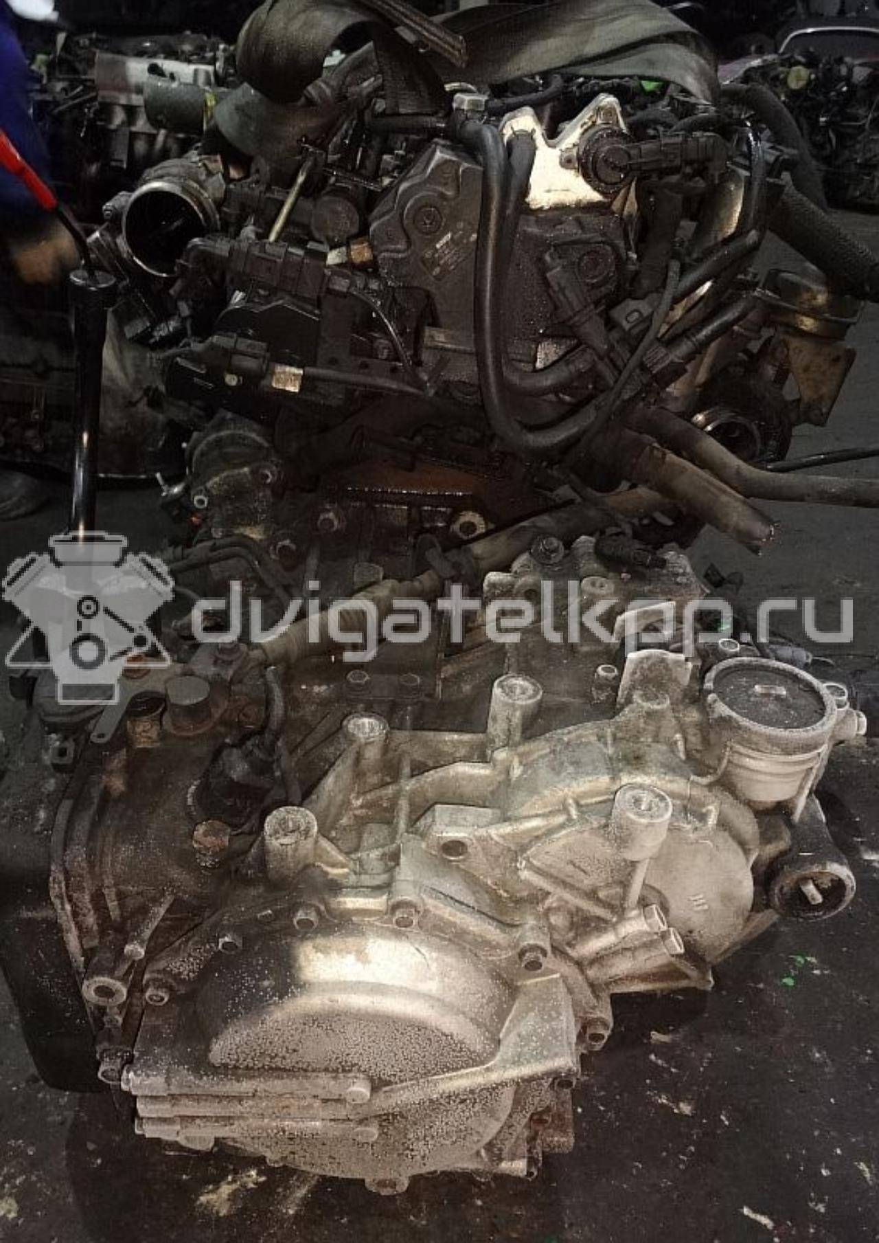 Фото Контрактный (б/у) двигатель D4EB для Hyundai Santa Fé / Grandeur 139-155 л.с 16V 2.2 л Дизельное топливо {forloop.counter}}