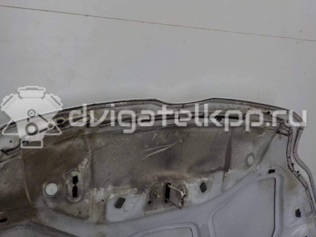 Фото Капот  1797477 для Ford Focus {forloop.counter}}