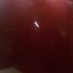 Фото Капот  1368555 для Ford Focus {forloop.counter}}