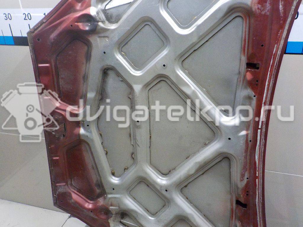 Фото Капот  1368555 для Ford Focus {forloop.counter}}