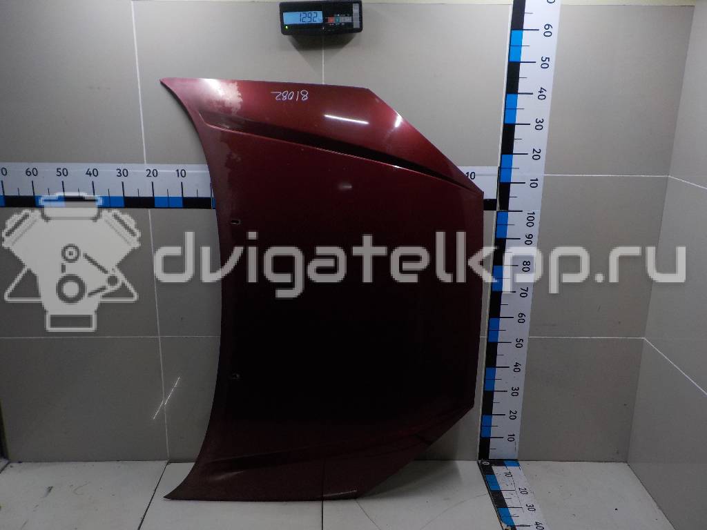Фото Капот  1368555 для Ford Focus {forloop.counter}}
