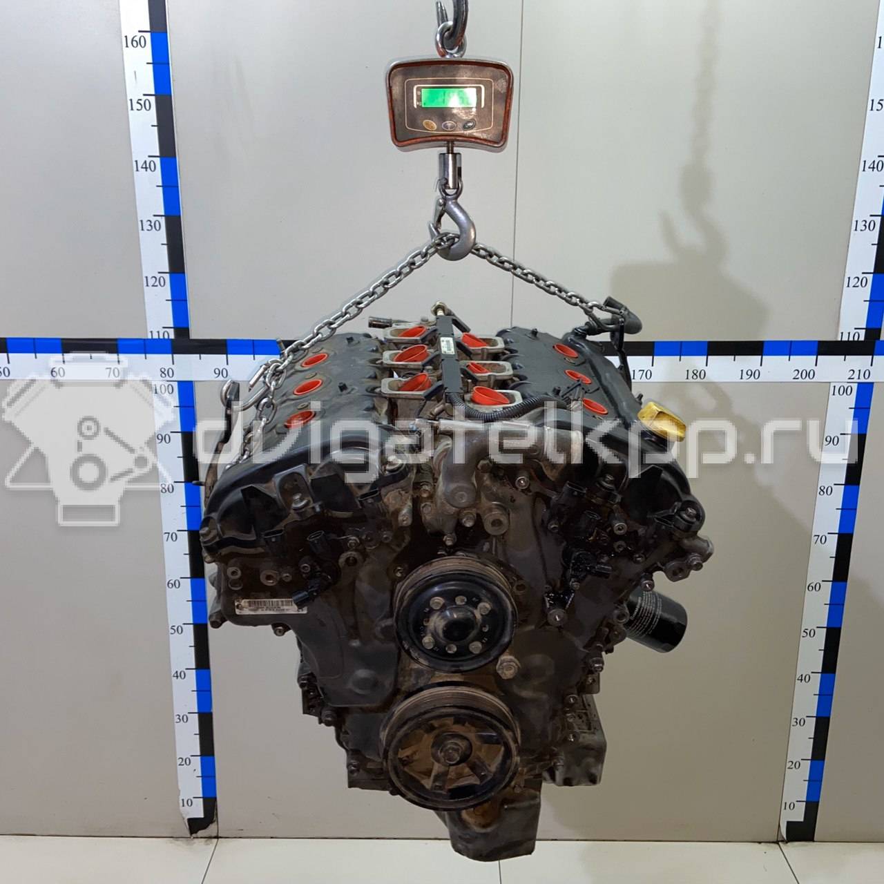 Фото Контрактный (б/у) двигатель Z 32 SE для Holden / Chevrolet / Vauxhall 211 л.с 24V 3.2 л бензин 92068609 {forloop.counter}}